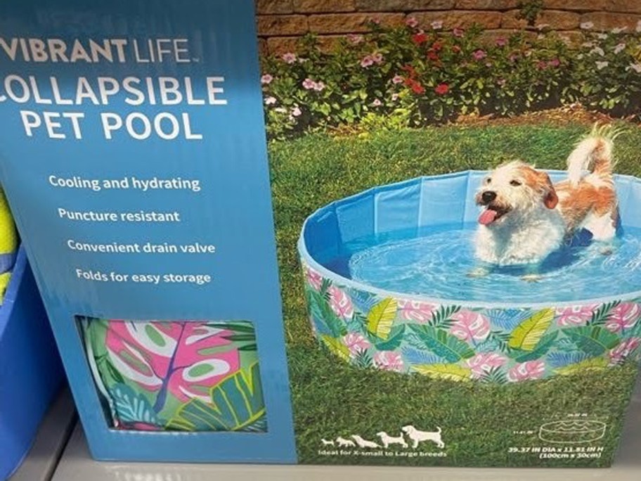 Vibrant Life Collapsible Pet Pool
