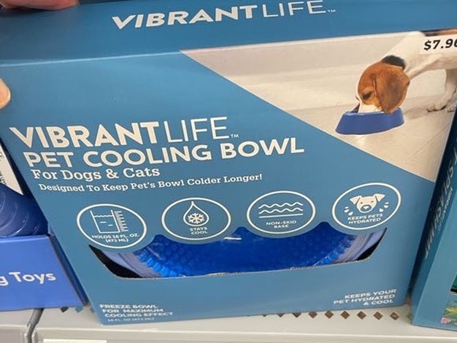 Vibrant Life Pet Cooling Bowl