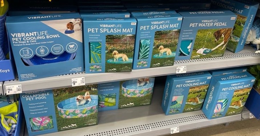NEW Walmart Pet Accessories (Swimsuits, Hats, Splash Pads & More!)