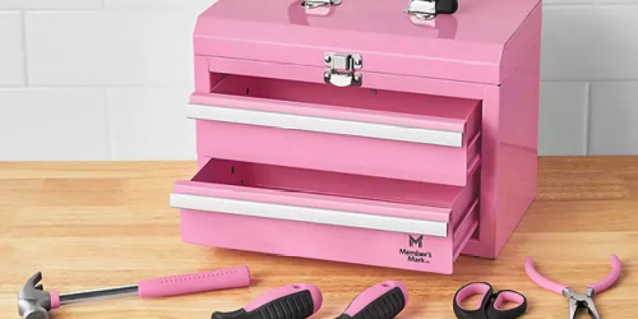 Mini Toolbox w/ 5-Piece Tool Set Only $19.98 on SamsClub.online (Gift Idea for Mother’s Day!)