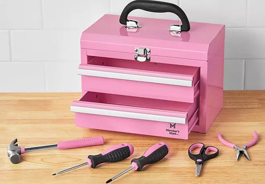 Mini Toolbox w/ 5-Piece Tool Set Only $19.98 on SamsClub.online (Gift Idea for Mother’s Day!)