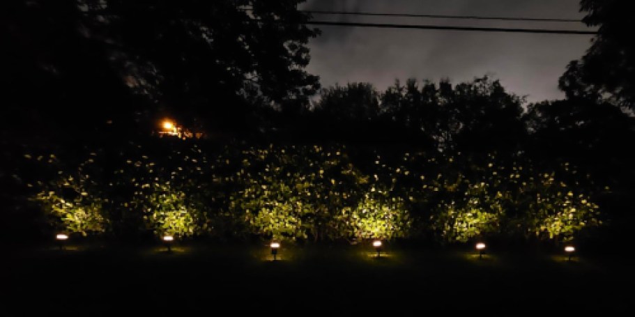 Smart Solar Lights 2-Pack Just $36.89 Shipped on Amazon (Reg. $80) | Controlled w/ an App