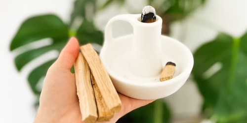 3 Best Non-Toxic Air Fresheners & Perfumes for a Safer Home