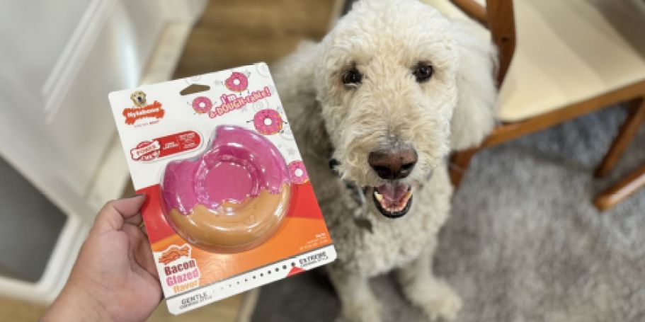 Amazon’s Annual Pet Day Event is onlineing May 13th (Shop Early Deals on 4/29!)
