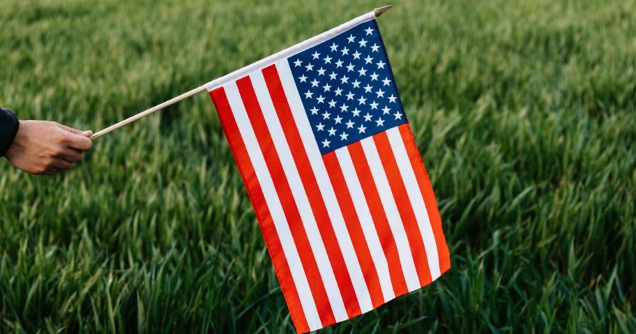 Hand holding a small American flag