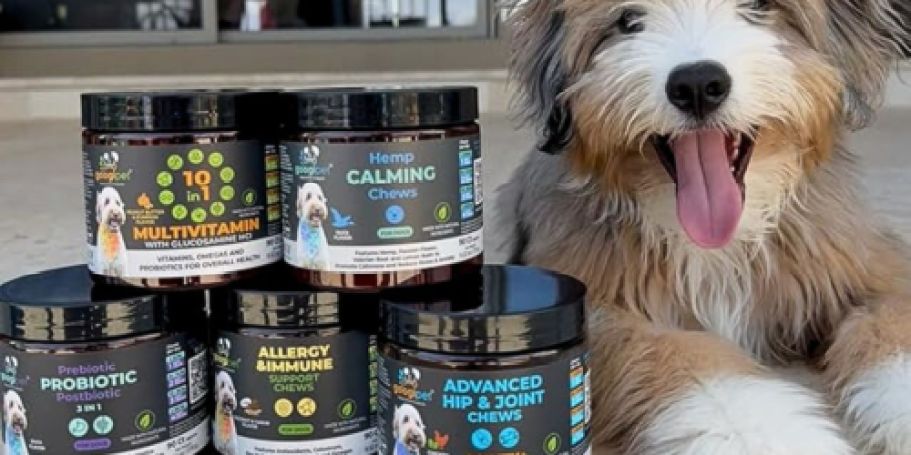 Score 50% Off Dog Supplements on Amazon | Multivitamins, Probiotics, & Calming Chews