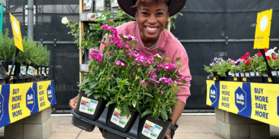 Lowe’s SpringFEST Sale = HOT Buys on Mulch, Plants, Appliances, & More!