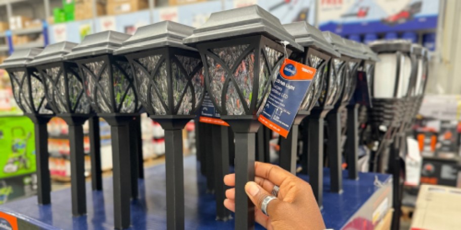 Solar LED Outdoor Path Lights ONLY $2.49 on Lowes.online | Today ONLY