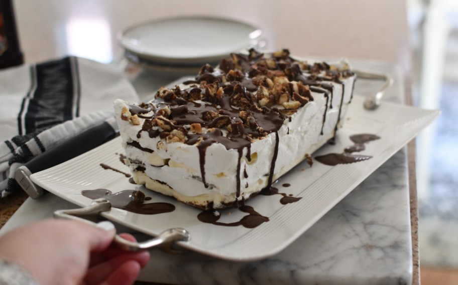 Hand holding a homemade ice cream cake on a platter