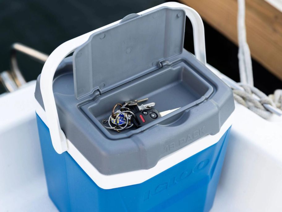 An open 12qt Igloo Cooler