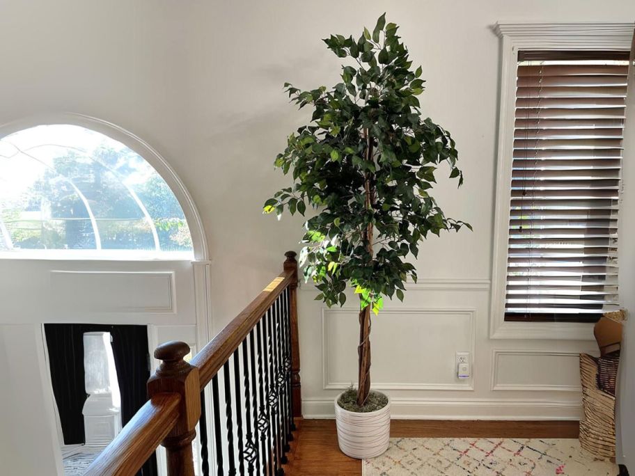 Nearly Natural 5' Artificial Ficus Tree w/ Curved Trunk in loft