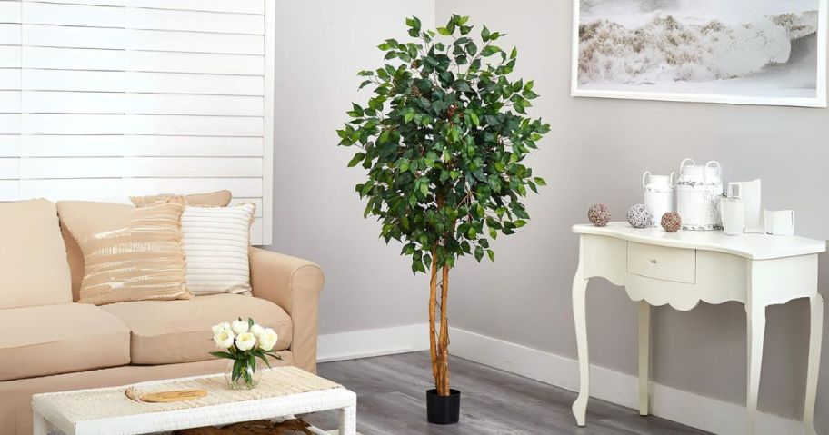 Nearly Natural 5' Artificial Ficus Tree w/ Curved Trunk in living room