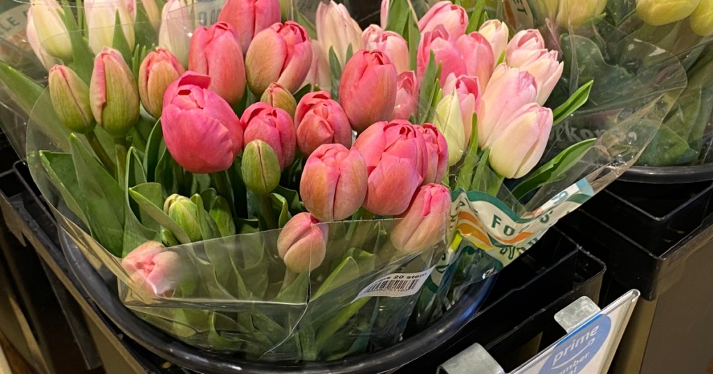 pink tulip bunches inside whole foods