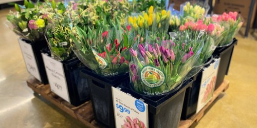 Whole Foods 15-Stem Tulip Bunches Only $9.99 for Amazon Prime Members