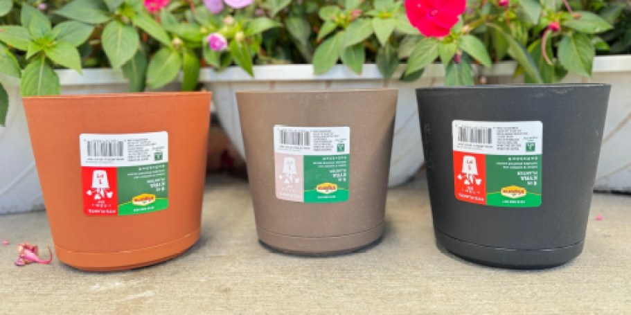 THREE 6″ Planters w/ Attached Saucers Just $3.93 Shipped on HomeDepot.online