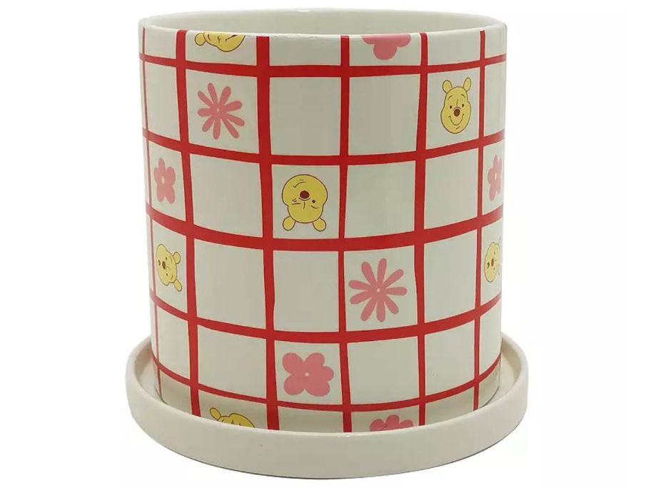 Winnie the Pooh Planter