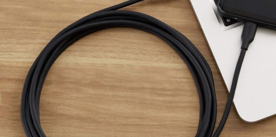 GO! Amazon Basics USB-C Fast Charging Cable from 49¢ Shipped (Reg. $10)