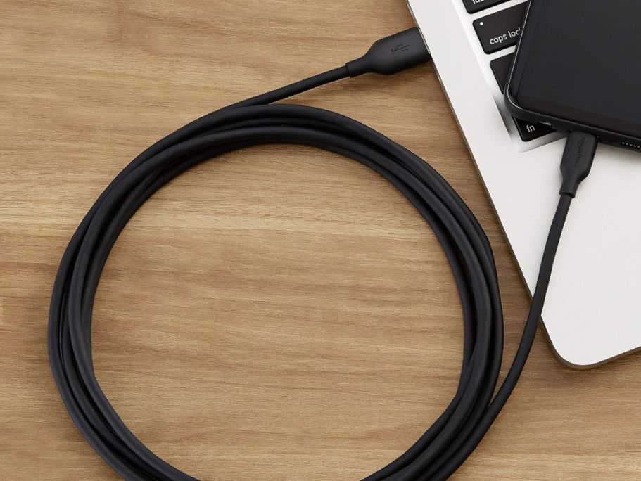 GO! Amazon Basics USB-C Fast Charging Cable from 49¢ Shipped (Reg. $10)