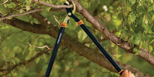 Fiskars Tree & Shrub Set Only $24.49 on Target.online | Includes Shears, Lopper, & Pruner!