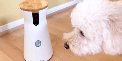 HUGE Price Drop: Furbo 360° Pet Camera $47 Shipped with Amazon Prime (Dispenses Treats, Too!)