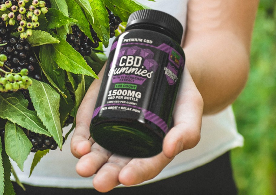 hand holding elderberry CBD bottle