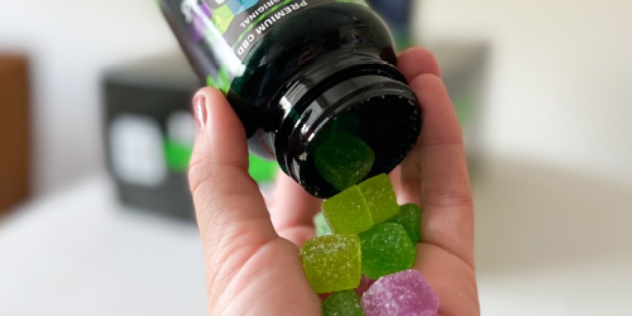 Last Chance to Score Buy 2, Get 1 FREE CBD Gummies