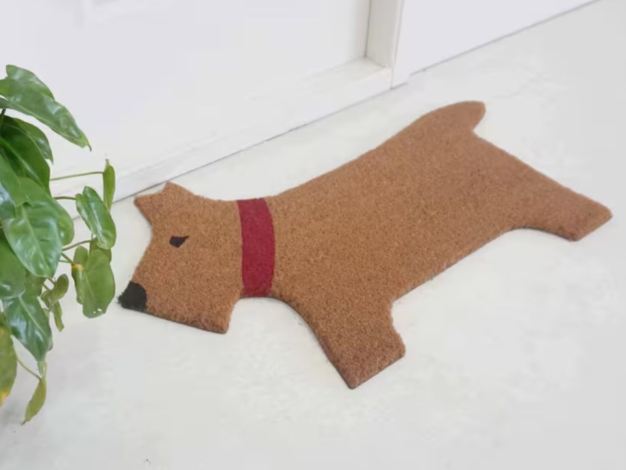 a brown dog with a red collar shaped doormat in front of a white door