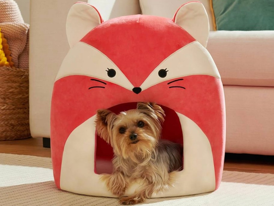 small dog inside red box squishmallow dog bed