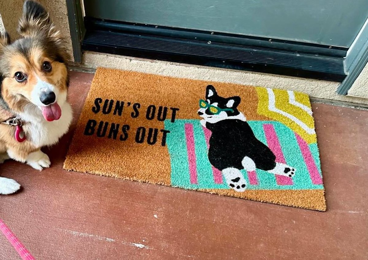 10 Funny Doormats to Give Your Home a Spring Refresh!