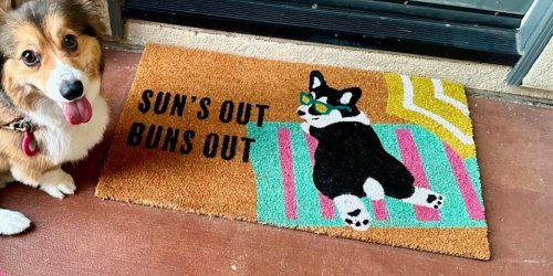 10 Funny Doormats to Give Your Home a Spring Refresh!