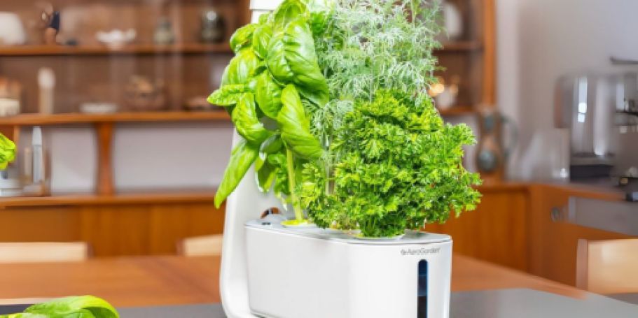 Get 50% Off AeroGardens on Amazon | Grow Fruits & Veggies Indoors!