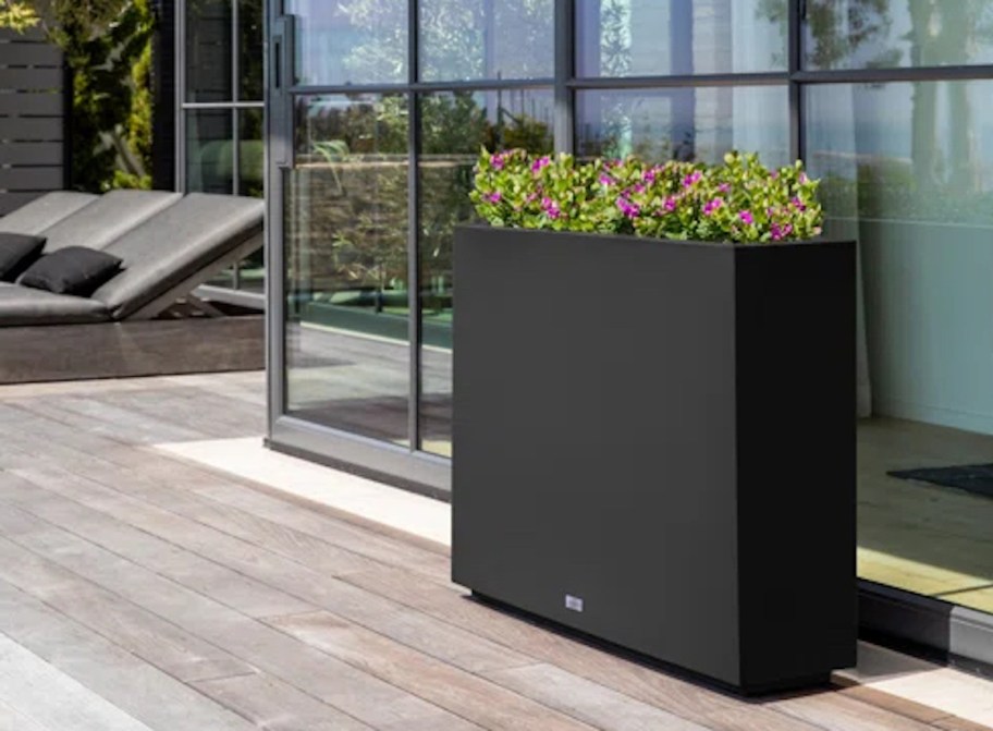 black rectangular planter with flower against glass house