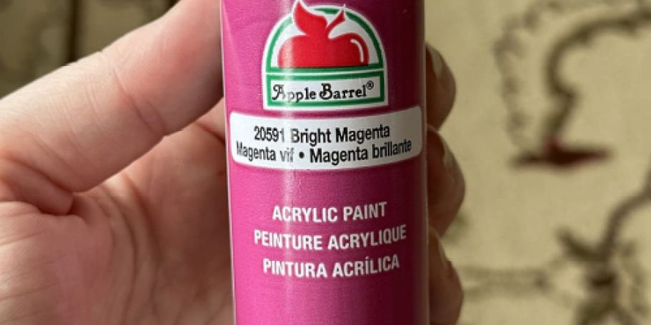 Apple Barrel Acrylic Paint Only 58¢ Shipped on Amazon | Choose from 6 Colors!