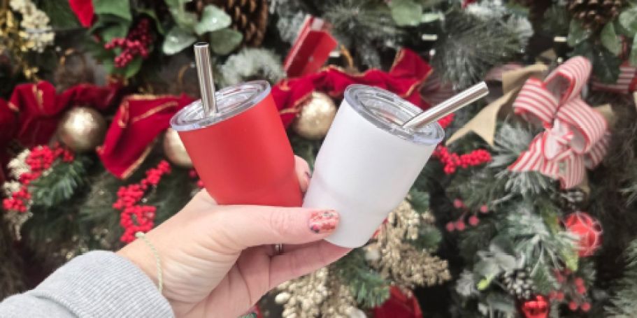 How Cute are these Mini Tumblers from Michaels?! Only $2.99 & Perfect Stocking Stuffers!