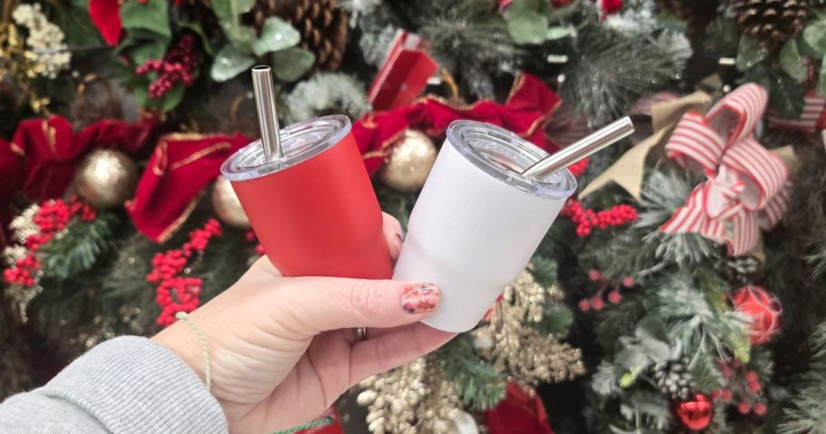 Ashland 3oz Stainless Steel Insulated Tumblers in hand in store