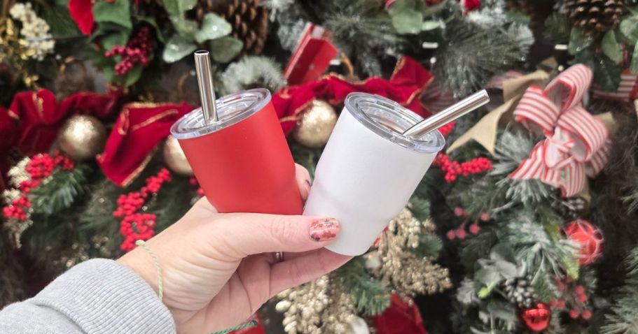 How Cute are these Mini Tumblers from Michaels?! Only $2.99 & Perfect Stocking Stuffers!