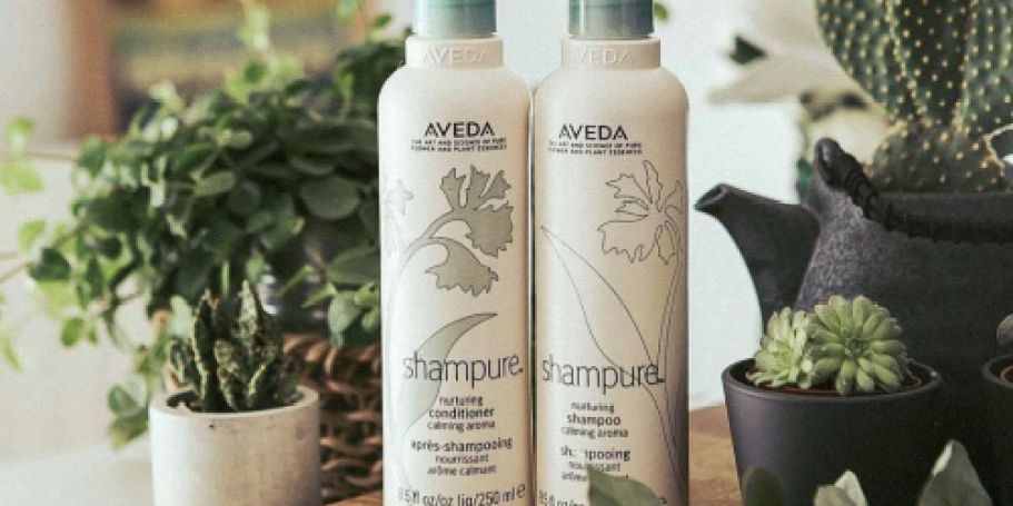 Aveda Shampoo & Conditioner Sets from $19.98 Shipped on QVC.online ($44 Value)