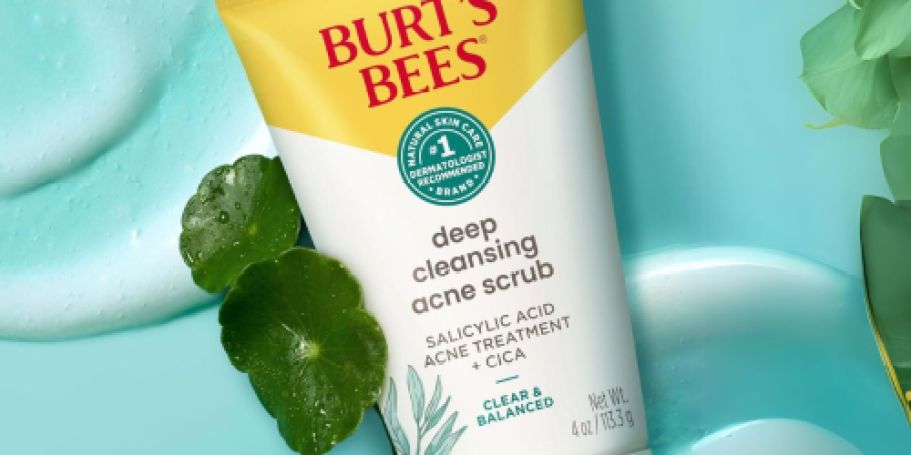 Burt’s Bees Facial Scrub Cleanser Just $2 Shipped on Amazon (Regularly $5)