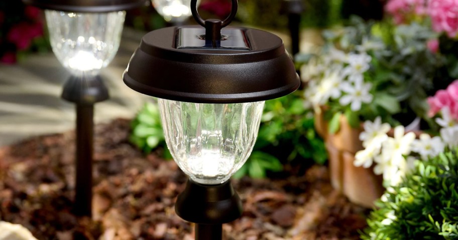 Energizer Solar Lights on display in yard