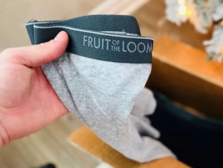 Fruit of the Loom Boxer Brief 5-Pack Just $8 on Walmart.online (Reg. $19)