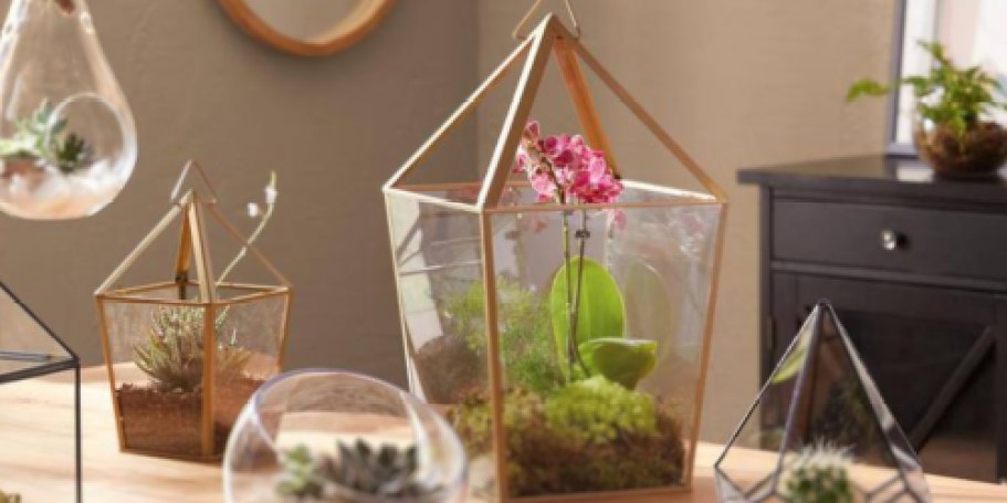 Glass Terrarium ONLY $9 Shipped on HomeDepot.online (Great Home or Wedding Decor!)