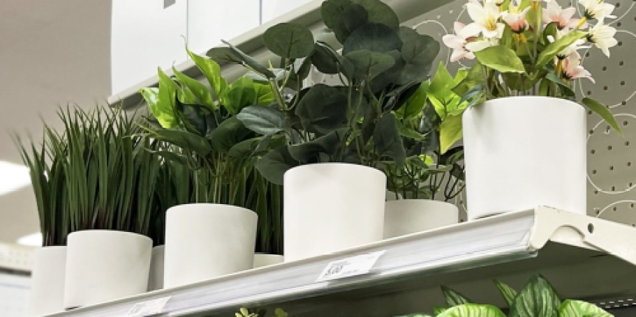 50% Off Target Artificial Plants | Prices from $2.50