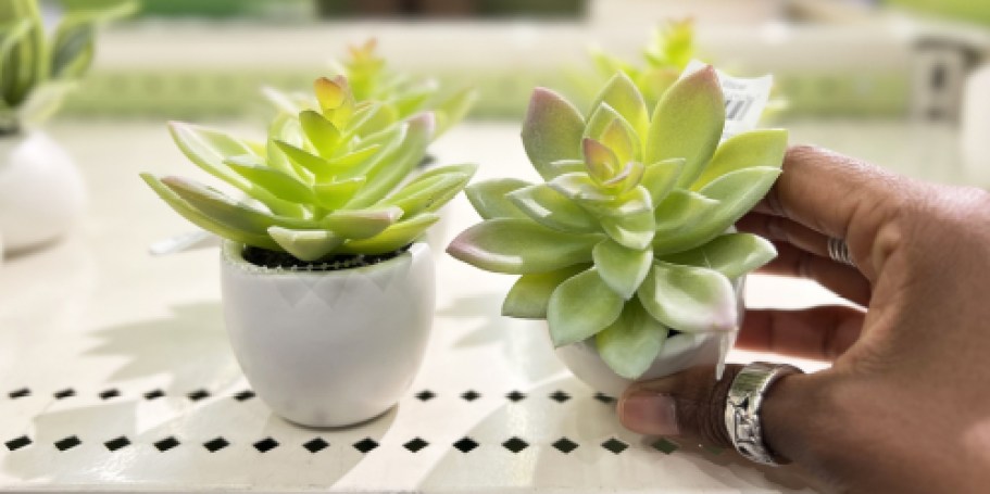 50% Off Target Artificial Potted Plants | Prices from $2.50