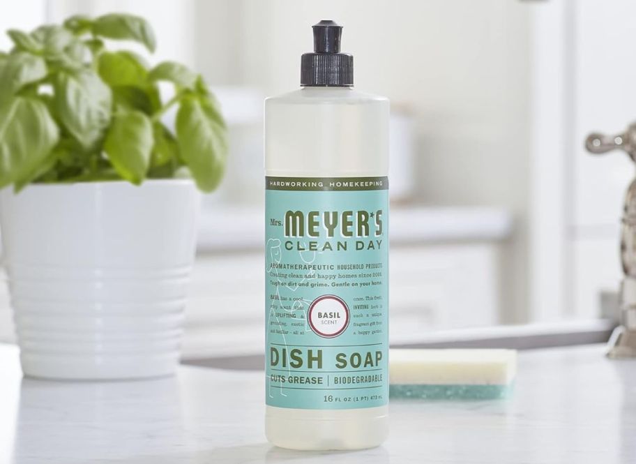 a bottle of mrs meyers dish soap on a kitchen counter