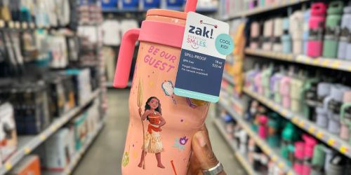 Zak Designs Character Tumblers from $12.98 on Walmart.online | Disney, Bluey, Barbie, & More!