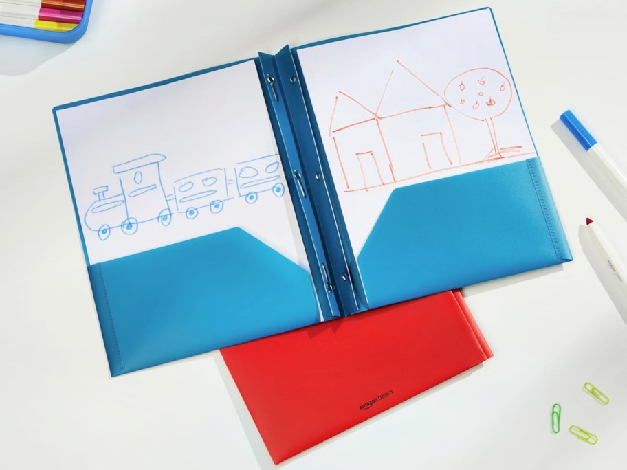 blue and red Amazon Basics Folders