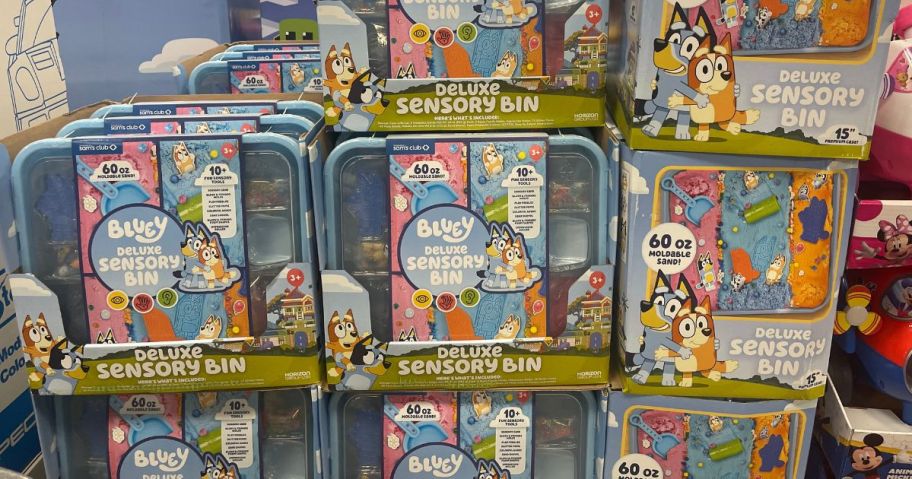 Bluey Sensory Bins at Sam's Club