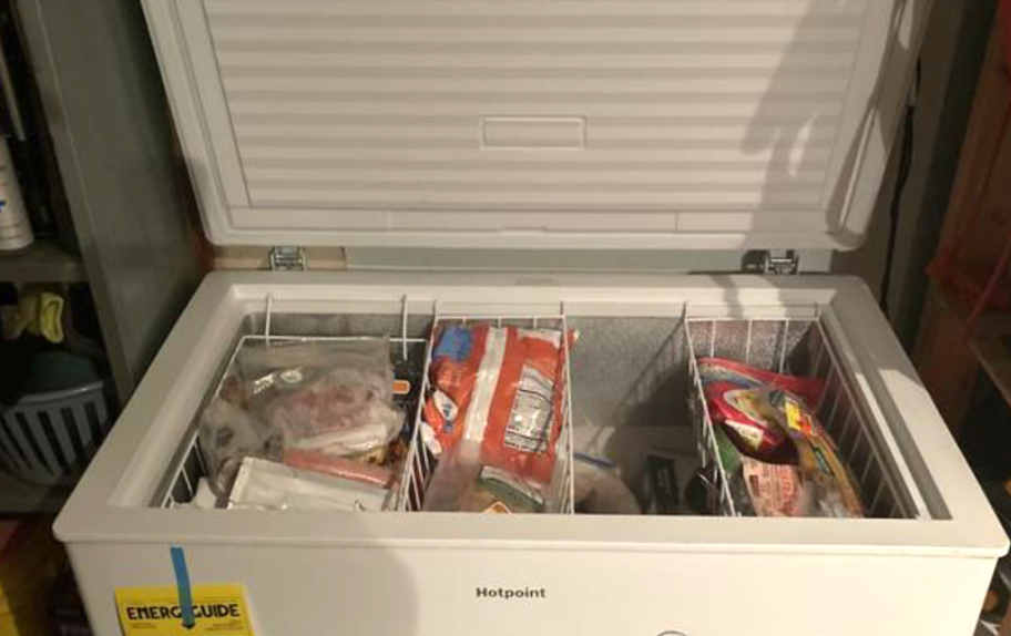 Chest freezer with frozen food 