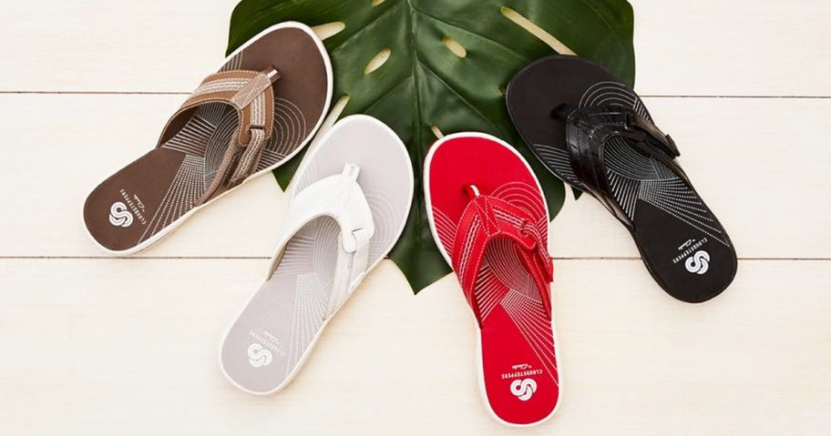 brown, white, red, and black flip flops on a large green leaf