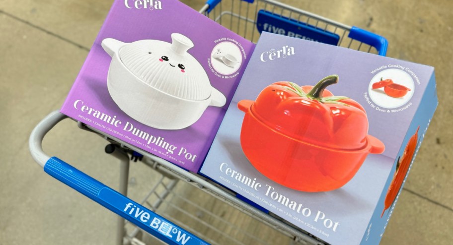 Dumpling or tomato pots and lids in five below cart